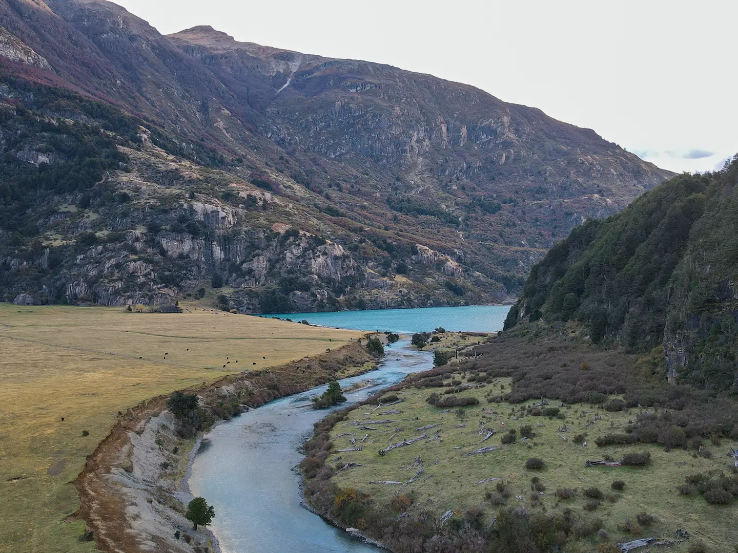 Aerial view of a turquoise Patagonian river valley in the Coyhaique fly fishing region
