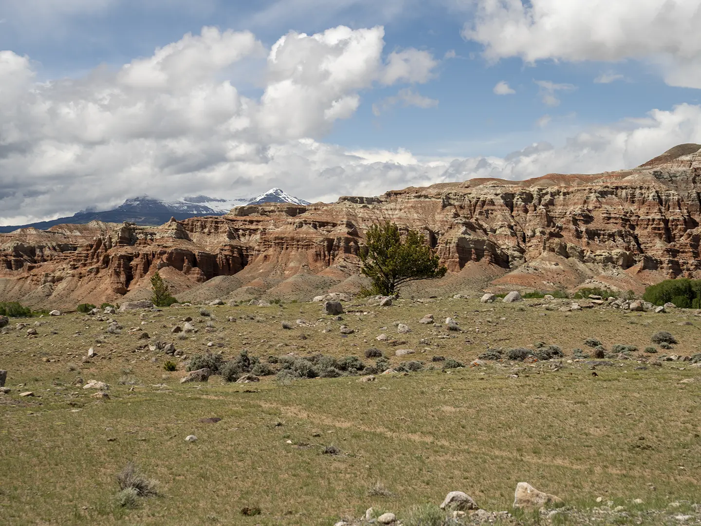 Red-rock badlands and Wind River Range peaks near Dubois, Wyoming